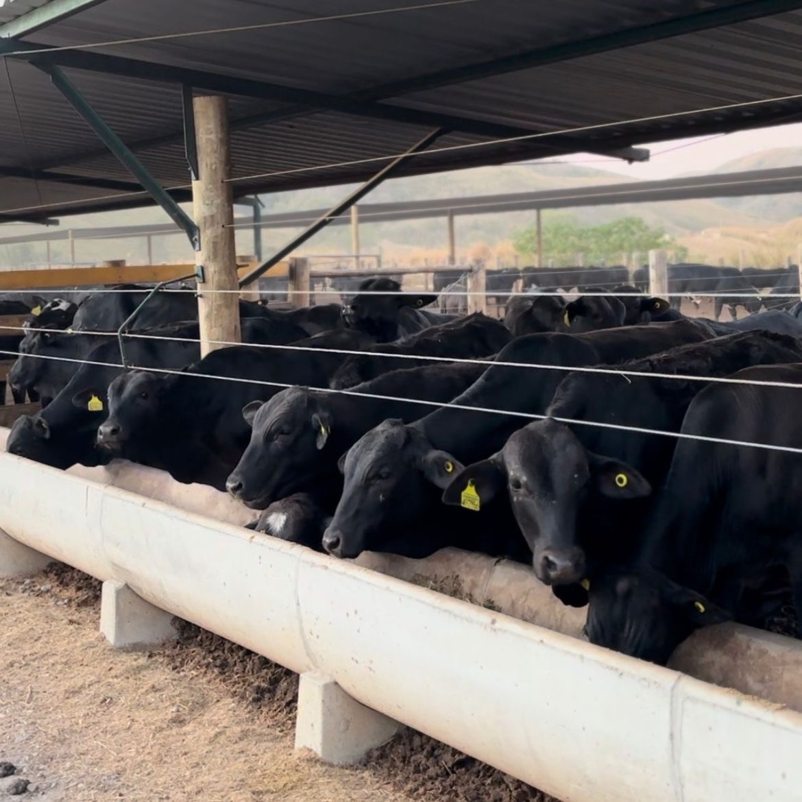 26.cff.res.estado.rio de janeiro realiza primeira.divulgaÇÃo