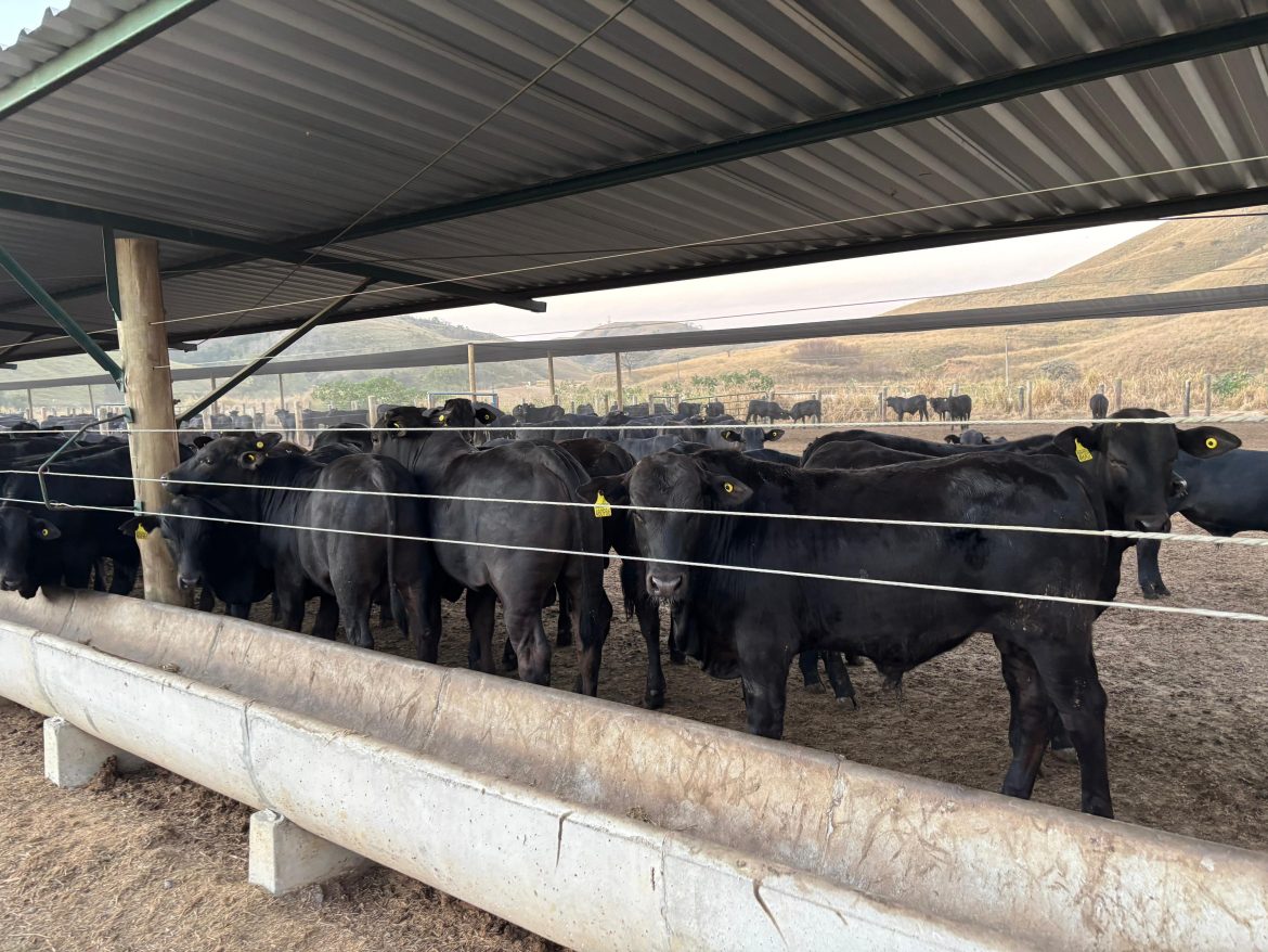 26.cff.res.estado.rio de janeiro realiza primeira.divulgaÇÃo (2) 26.cff.res.estado.rio de janeiro realiza primeira.divulgaÇÃo (2)