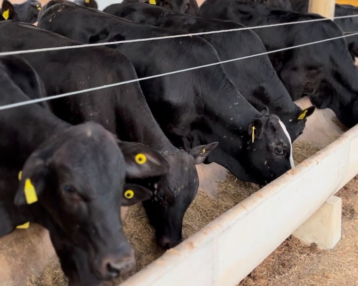 26.cff.res.estado.rio de janeiro realiza primeira.divulgaÇÃo (3) 26.cff.res.estado.rio de janeiro realiza primeira.divulgaÇÃo (3)