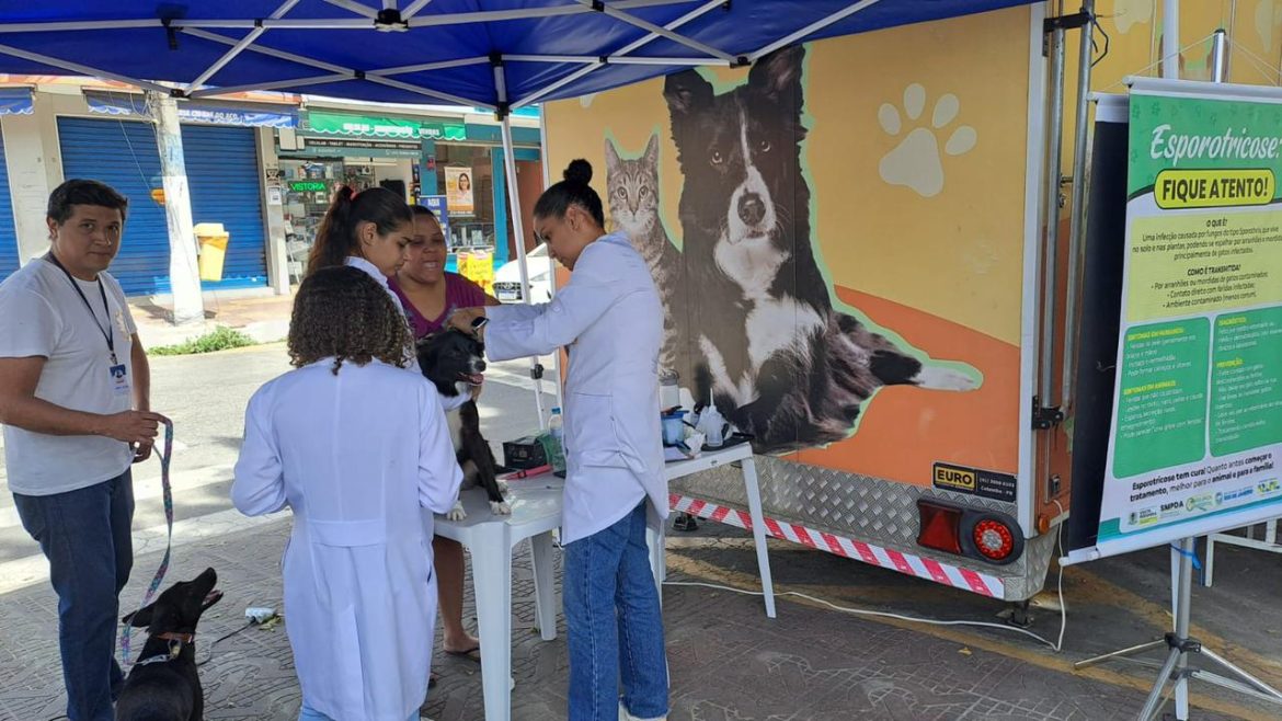 27.cf.res.cidades.vetmóvel de volta redonda estreia com 170.1.moradores.divulgaÇÃopmvr