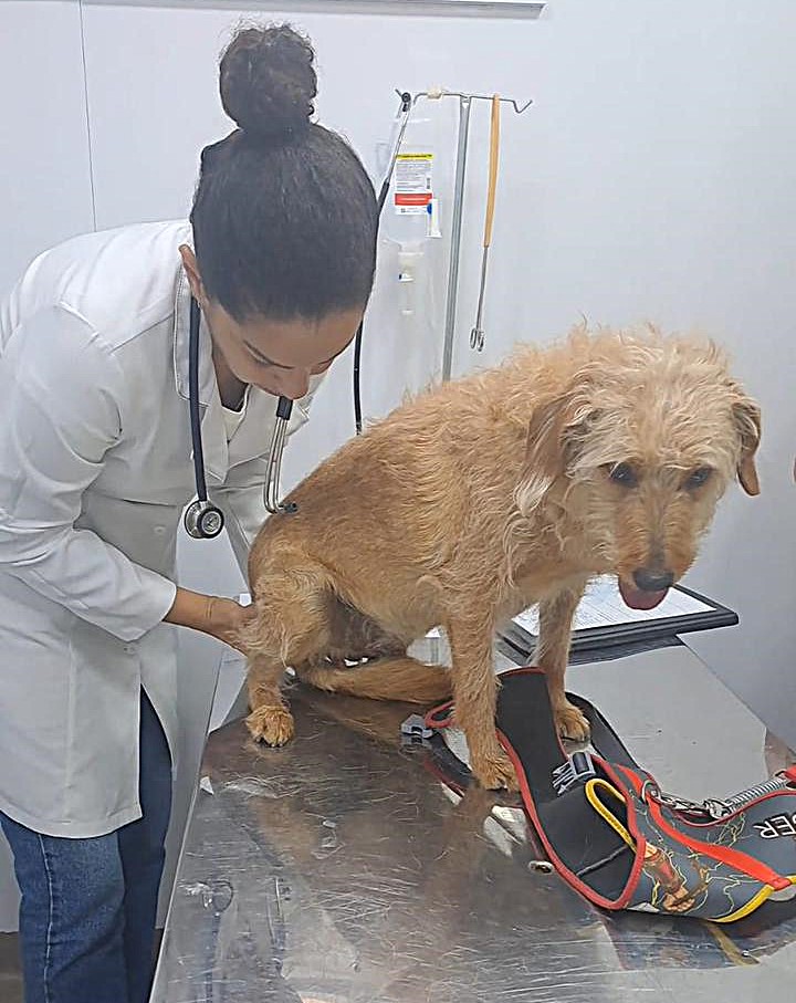 27.cf.res.cidades.vetmóvel de volta redonda estreia com 170.2.estudantes.divulgaÇÃopmvr