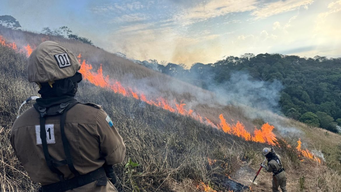 37.cf.res.estado.corpo de bombeiros do estado.1.bombeiros.divulgaÇÃo
