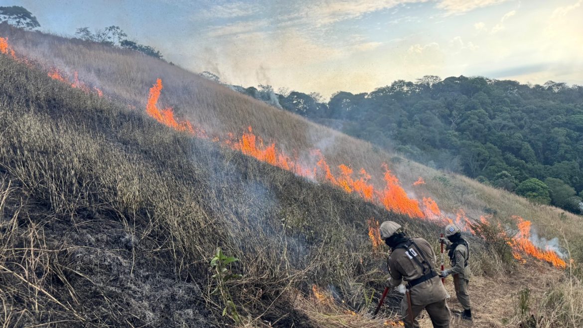 37.cf.res.estado.corpo de bombeiros do estado.1.bombeiros.divulgaÇÃo (2) 37.cf.res.estado.corpo de bombeiros do estado.1.bombeiros.divulgaÇÃo (2)