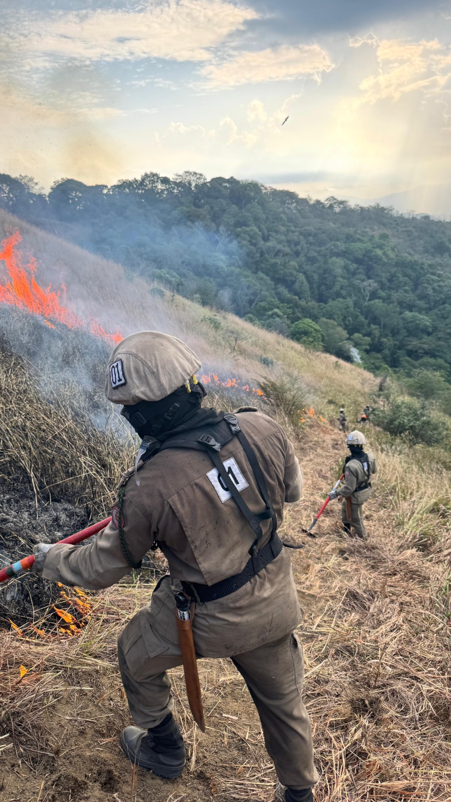37.cf.res.estado.corpo de bombeiros do estado.1.bombeiros.divulgaÇÃo (3) 37.cf.res.estado.corpo de bombeiros do estado.1.bombeiros.divulgaÇÃo (3)