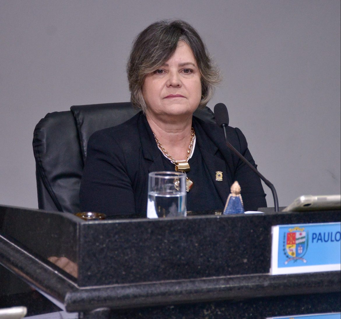 42 politica barra mansa pode ganhar programa de atenção e orientação às mães atípicas iam martins