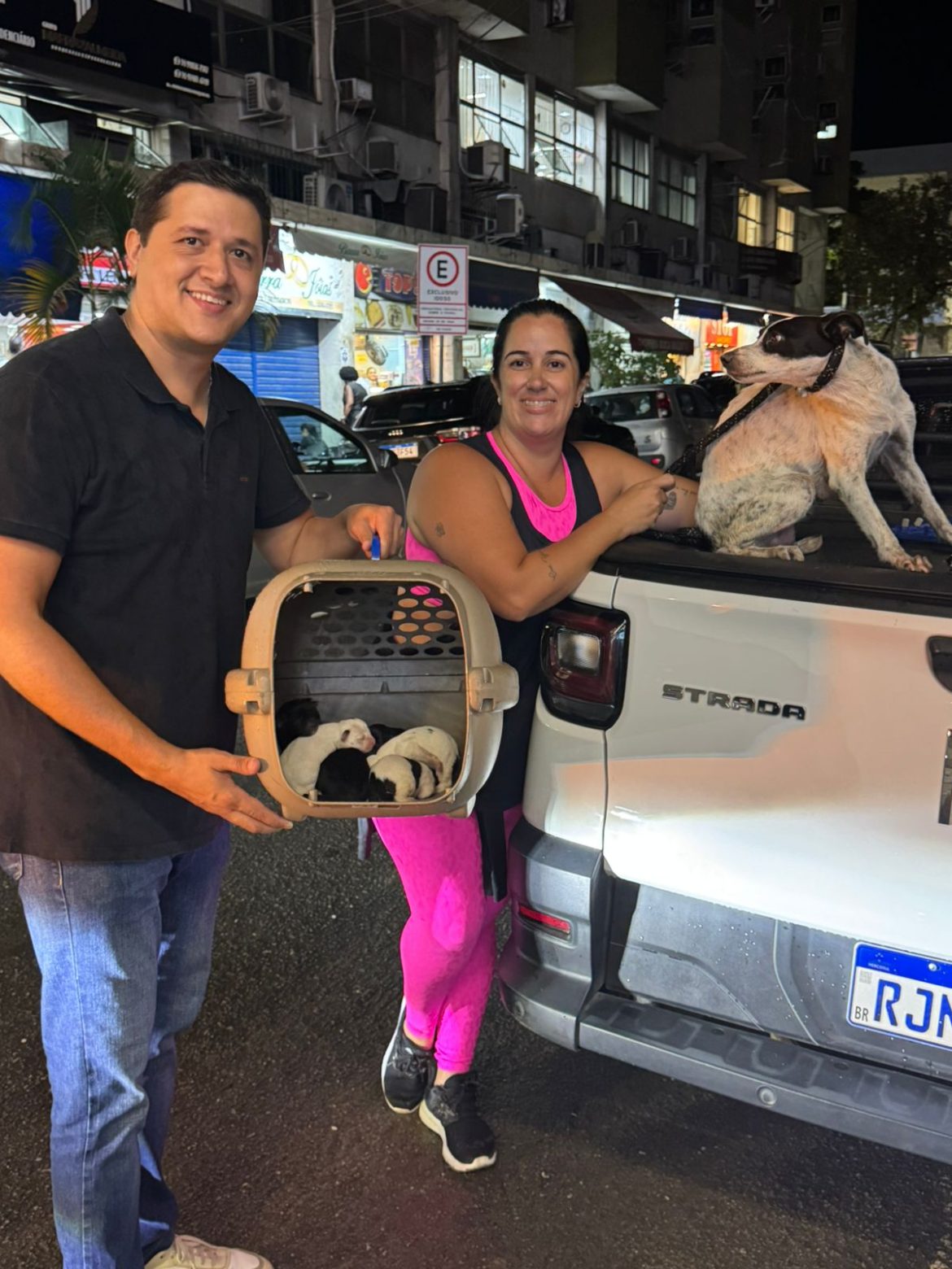 dia do protetor de animais em volta redonda será comemorado com entrega de carteirinhas divulgação pmvr