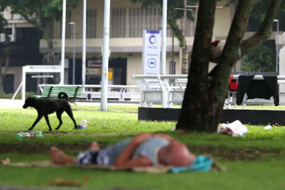 divulgação tânia rêgo agência brasil