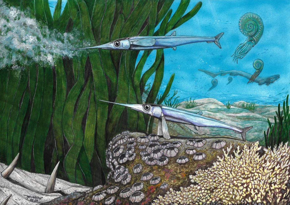 figure 4 (crédito maurílio oliveira) figure 4 (crédito maurílio oliveira)