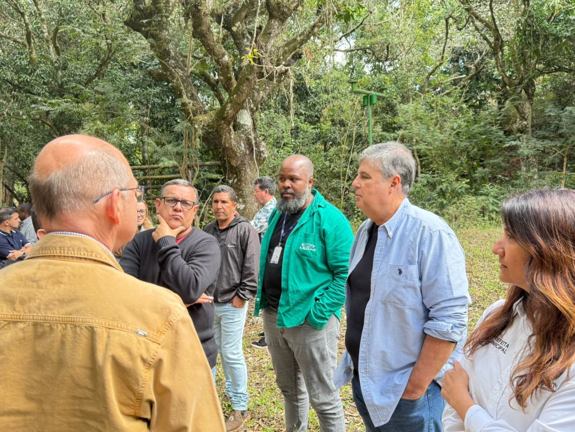 imagem do whatsapp de 2025 08 13 à(s) 16.29.45 5a779599