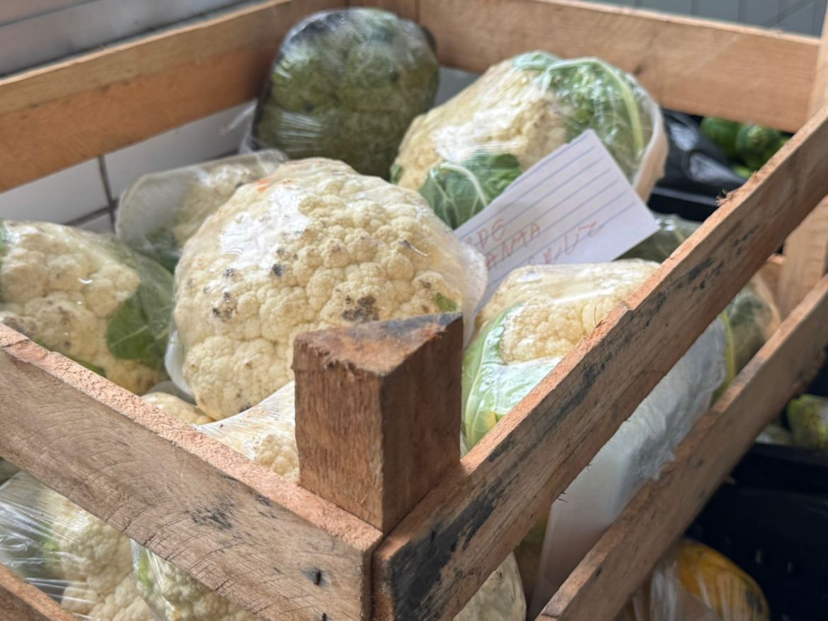 intercâmbio da sesan vr com maricá e barra mansa para fortalecer as políticas de segurança alimentar divulgaÇÃo pmvr1