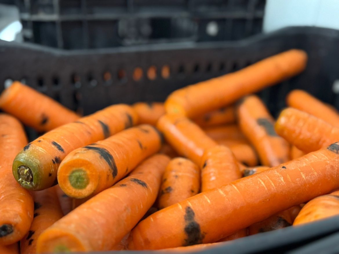 intercâmbio da sesan vr com maricá e barra mansa para fortalecer as políticas de segurança alimentar divulgaÇÃo pmvr111