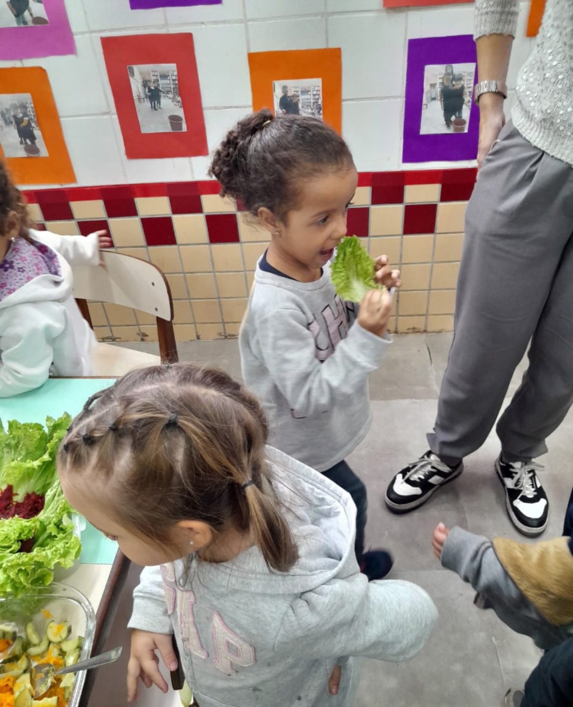 mais de 18 mil alunos da rede municipal de volta redonda beneficiados com ‘alimentação saudável’ divulgação pmvr11