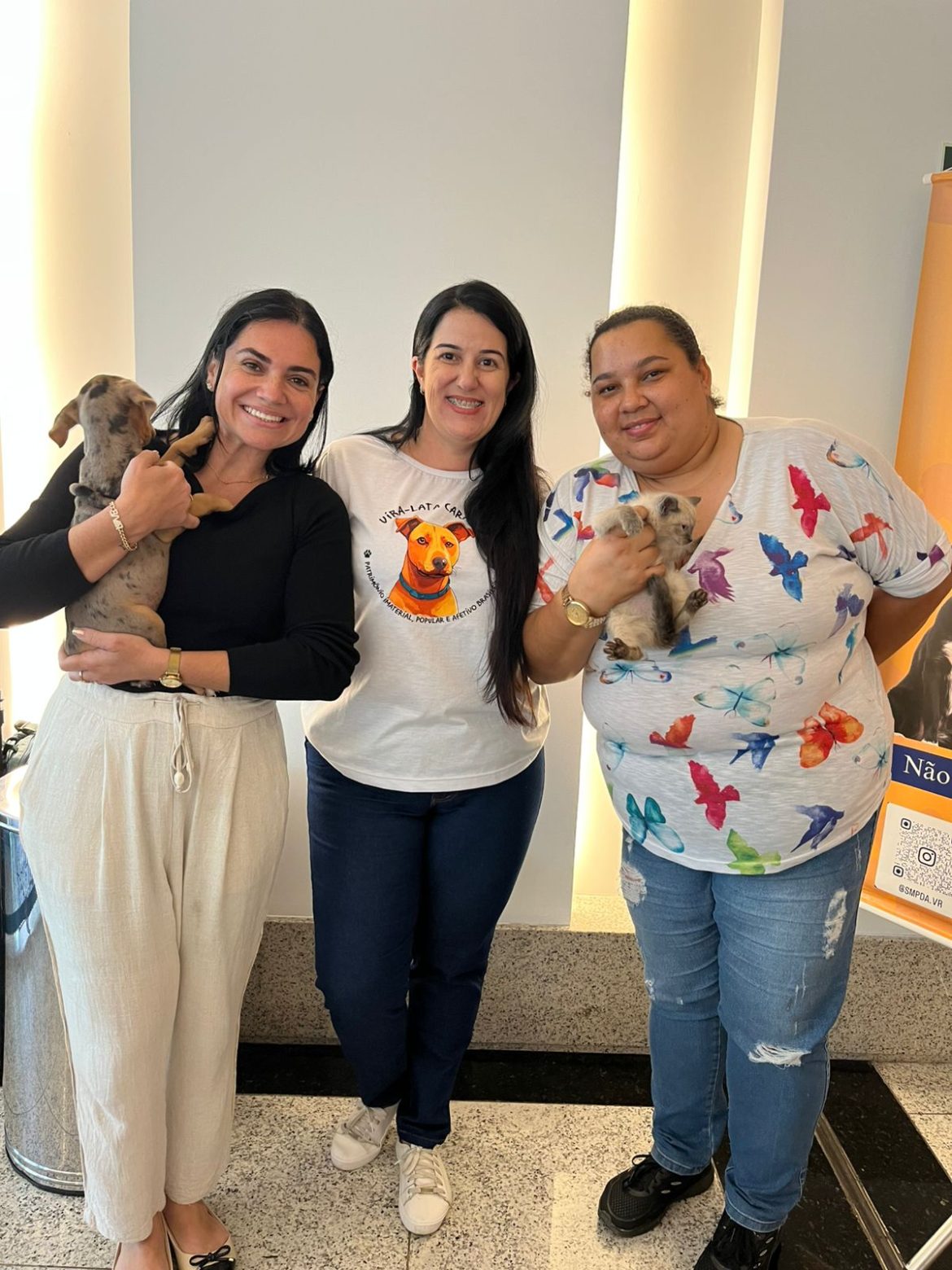 mais onze animais ganham novos lares através do espaço ‘família animal’ em volta redonda divulgação pmvr 1