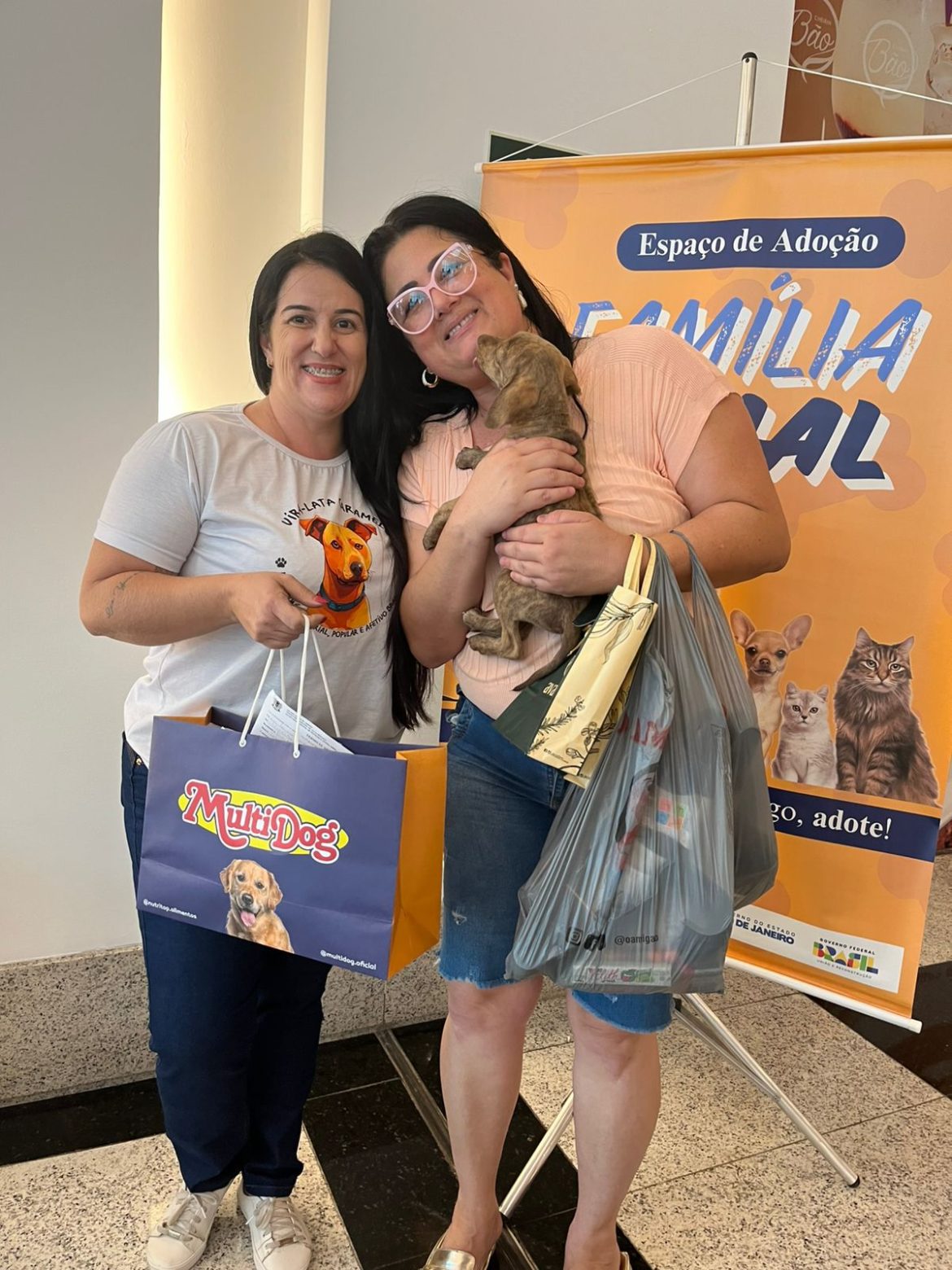 mais onze animais ganham novos lares através do espaço ‘família animal’ em volta redonda divulgação pmvr11