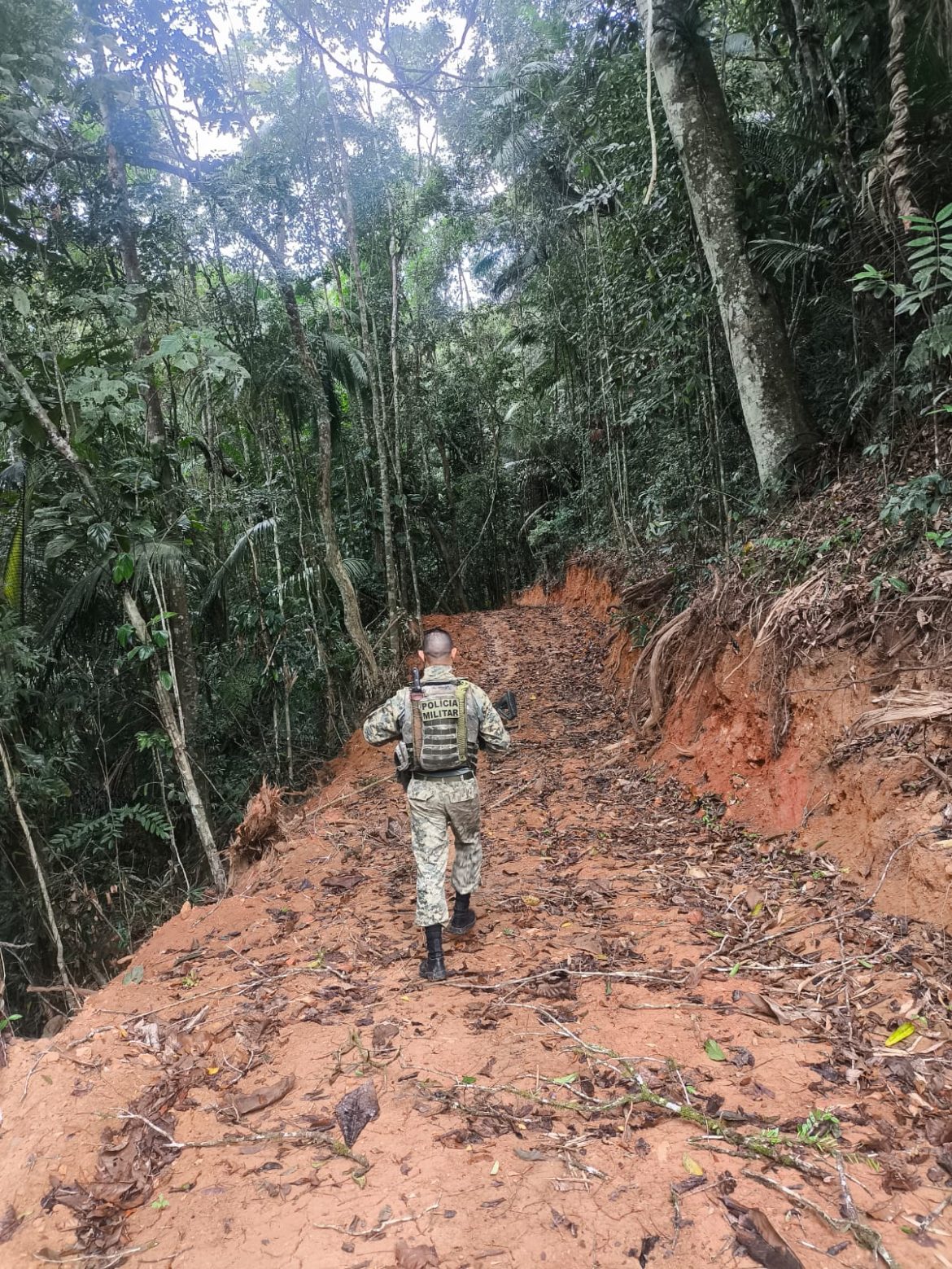 polícia localiza degradação ambiental em bairro de paraty  divulgação