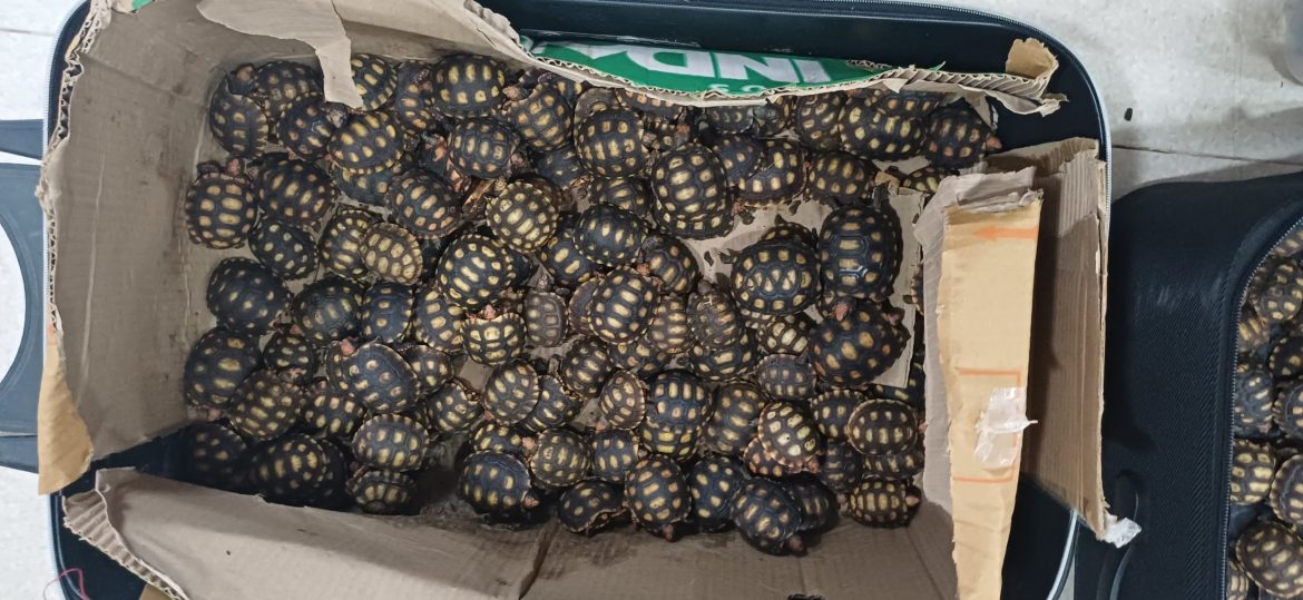 whatsapp image 2025 07 31 at 18.40.23