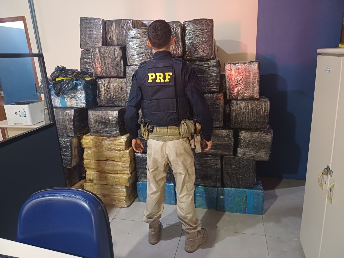 whatsapp image 2025 08 05 at 12.30.08