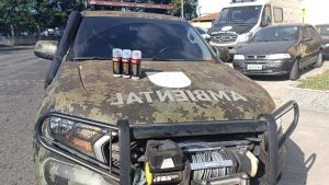 whatsapp image 2025 08 12 at 16.15.42