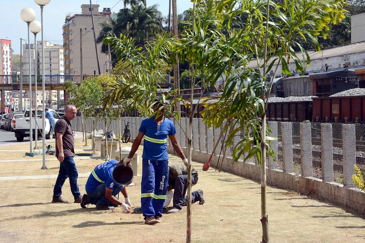 whatsapp image 2025 08 21 at 15.14.31