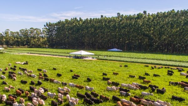 whatsapp image 2025 08 25 at 13.07.10