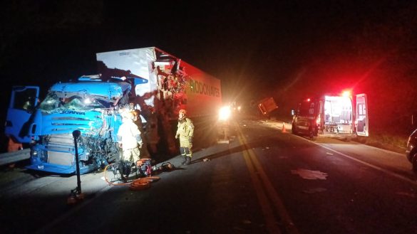 whatsapp image 2025 08 29 at 10.22.49