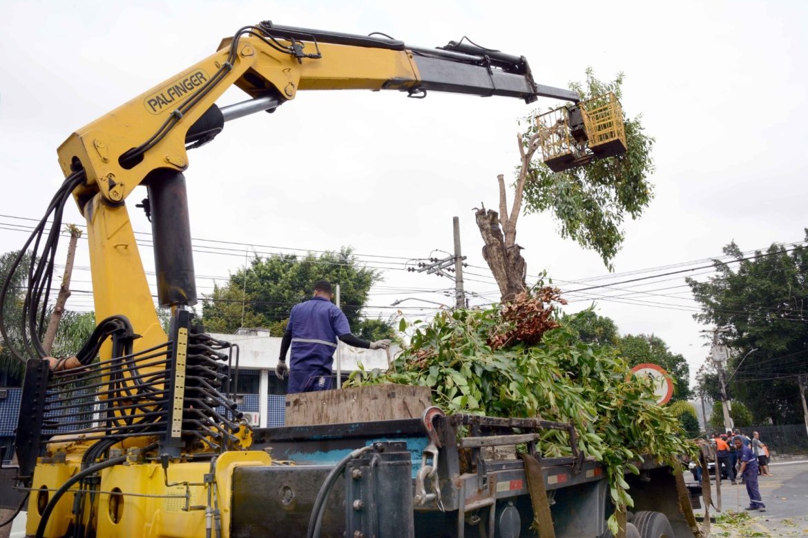 whatsapp image 2025 08 29 at 16.37.41