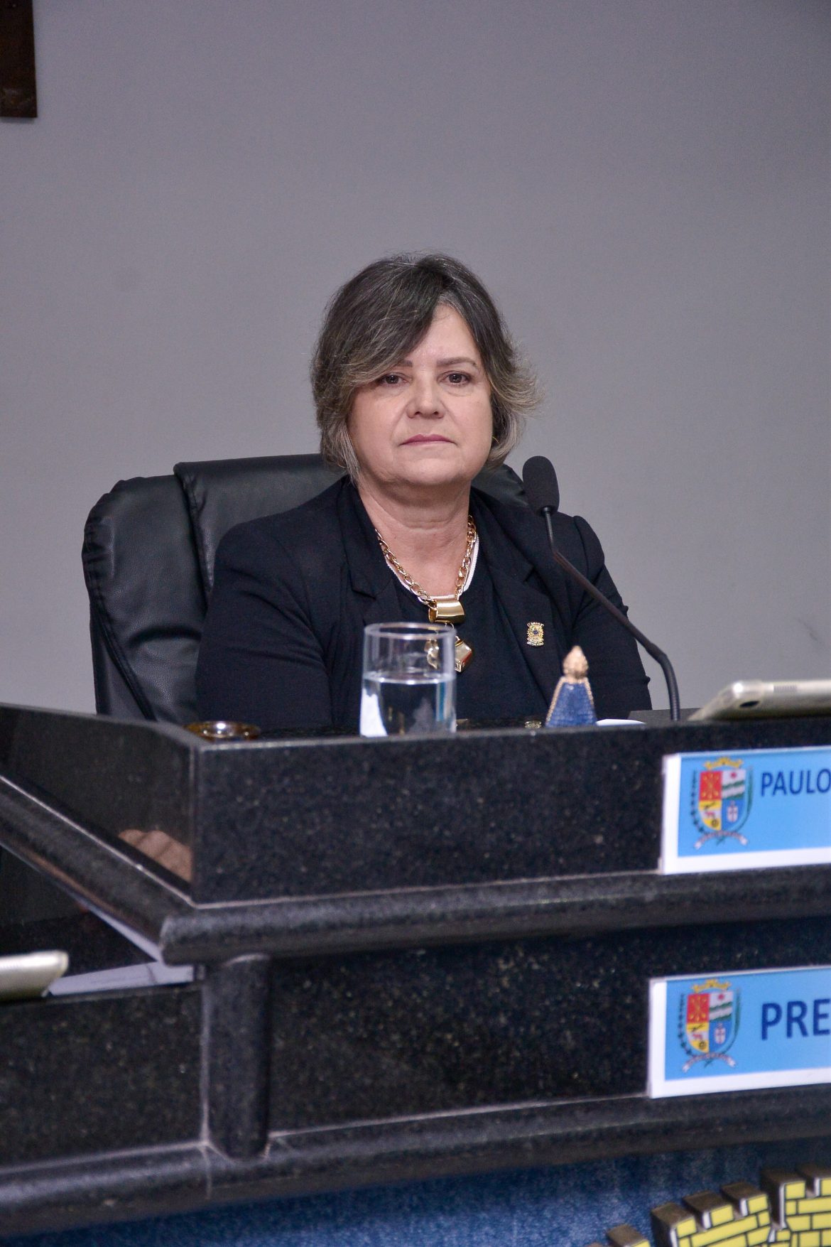 07 08 2025 vereadora cristina magno 1 foto iam martins