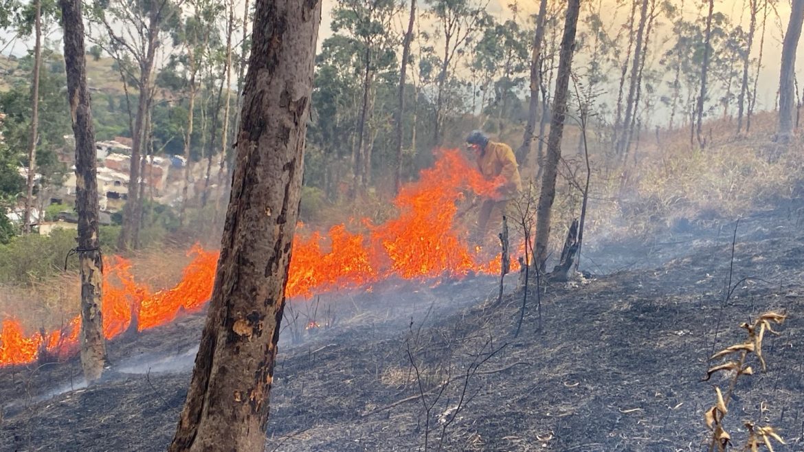 22.cf.res.cidades.defesa civil controla incêndio.redessociais (2)