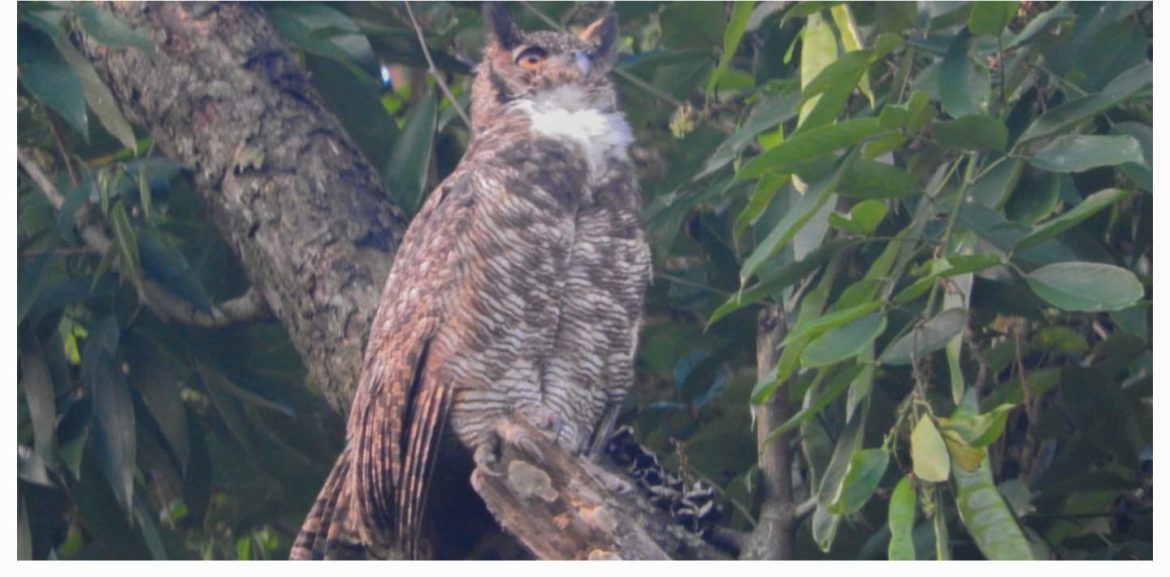 26 cidades trilha especial na pedreira da voldac está programada para o dia 5 de outubro divulgaÇÃo