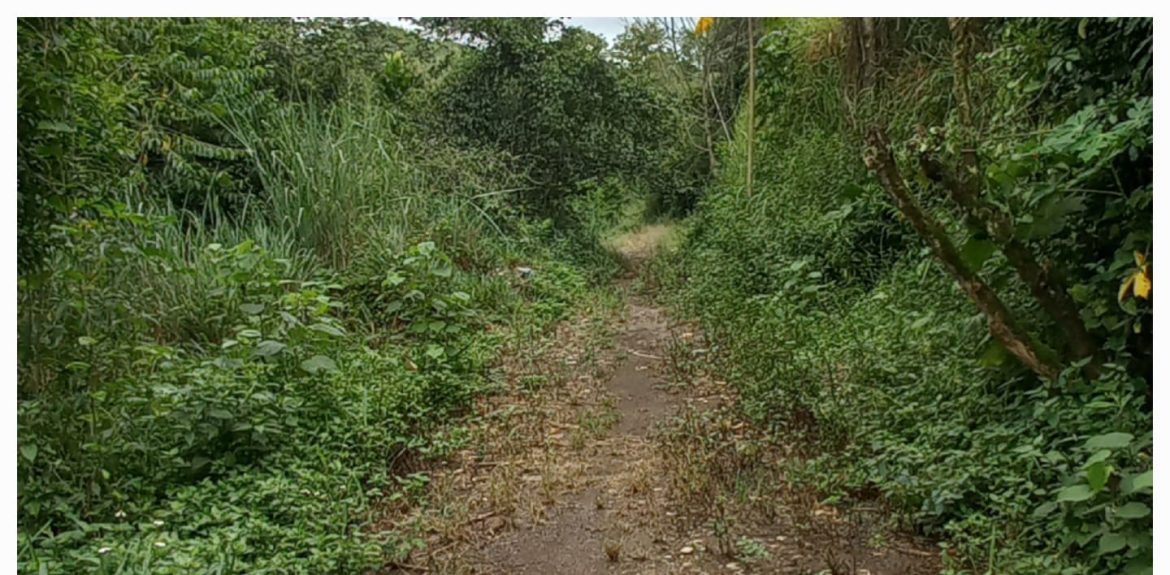 26 cidades trilha especial na pedreira da voldac está programada para o dia 5 de outubro divulgaÇÃo1