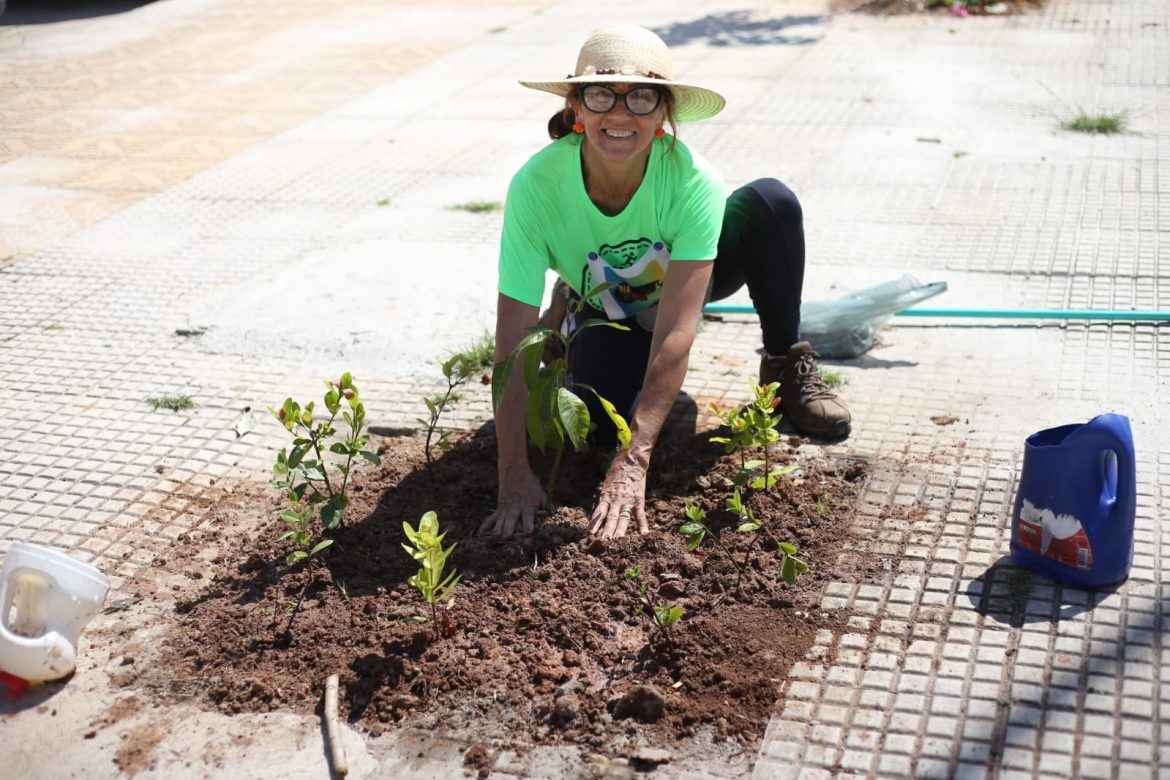 ações pelo dia mundial da limpeza e pelo dia da Árvore são realizadas em volta redonda adrian cópio pmvr