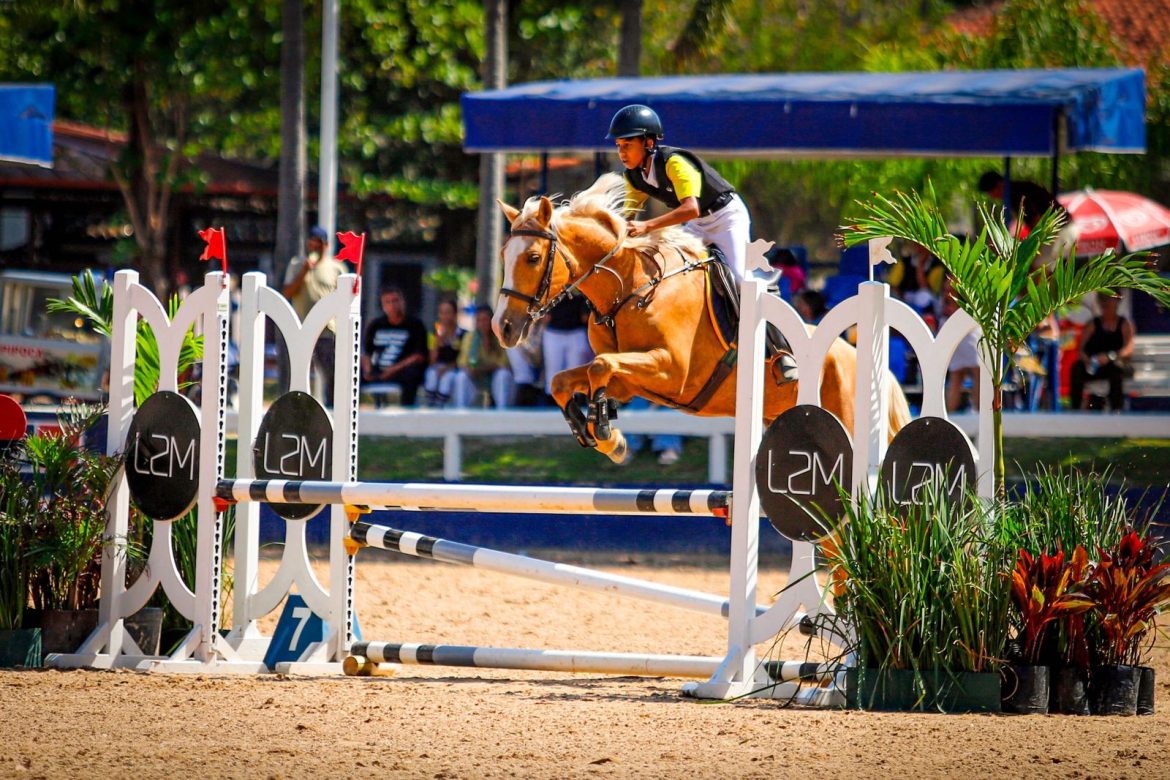atletas da escola de hipismo de volta redonda conquistam duas pratas e nove pódios na vii etapa do estadual de hipismo antônio lopes divulgação