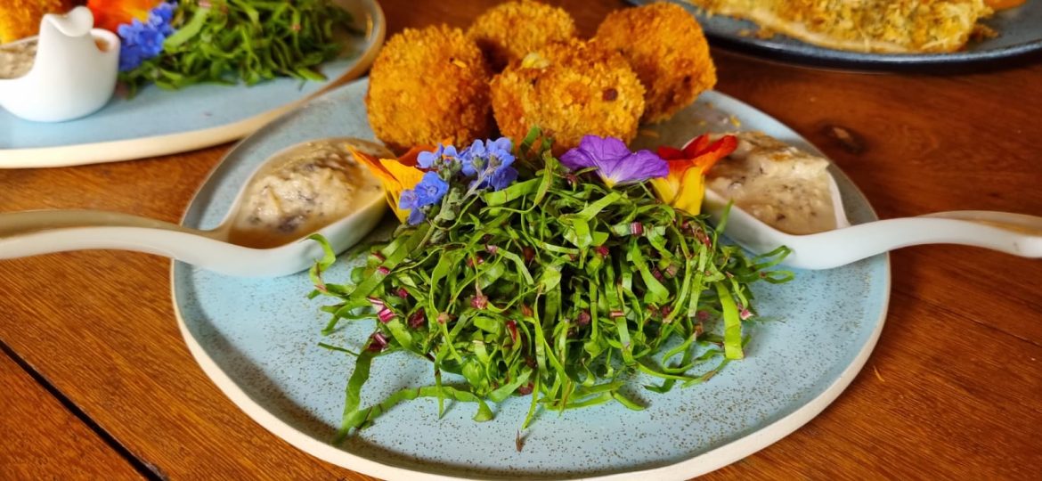 fotos 4– temporada da truta (4) fotos 4– temporada da truta (4)