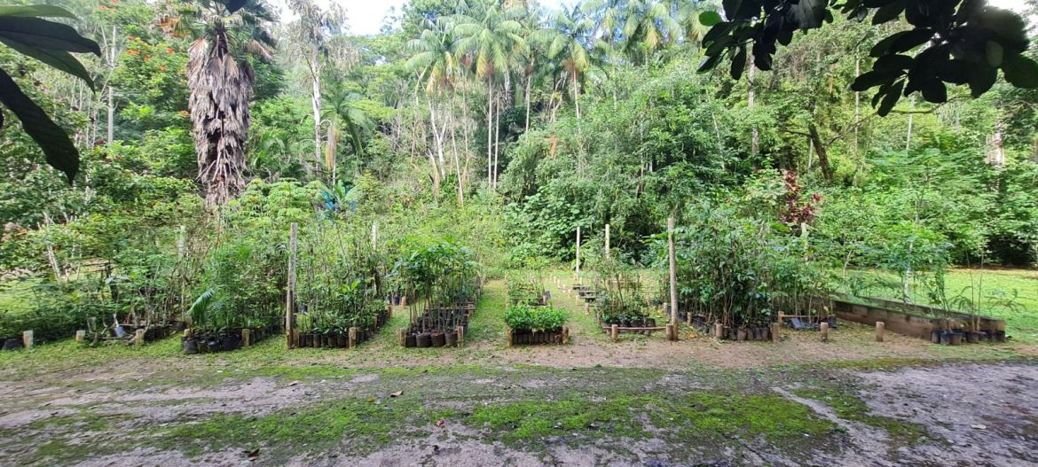 imagem do whatsapp de 2025 09 02 à(s) 17.13.40 51d1e418