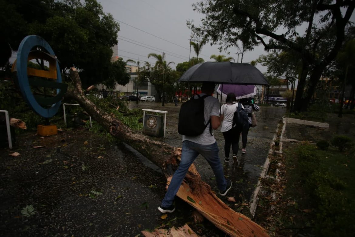 imagem do whatsapp de 2025 09 16 à(s) 17.22.08 28970596