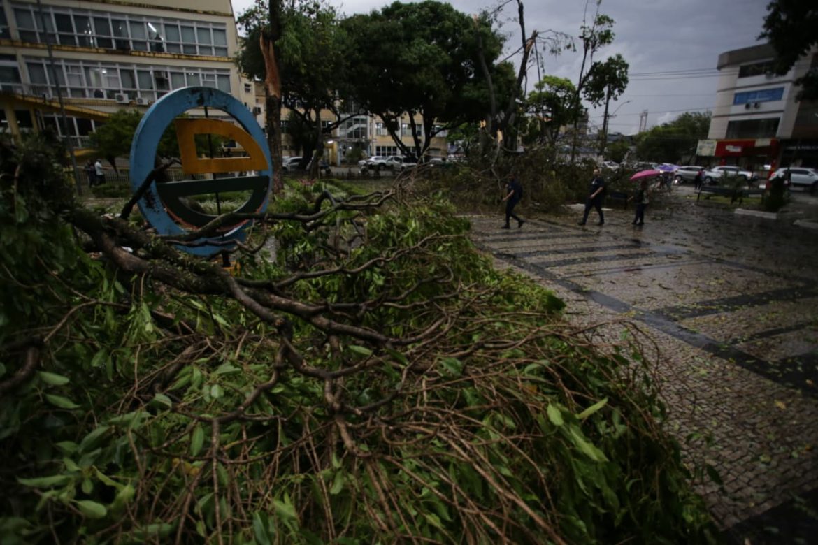 imagem do whatsapp de 2025 09 16 à(s) 17.22.13 a183936b