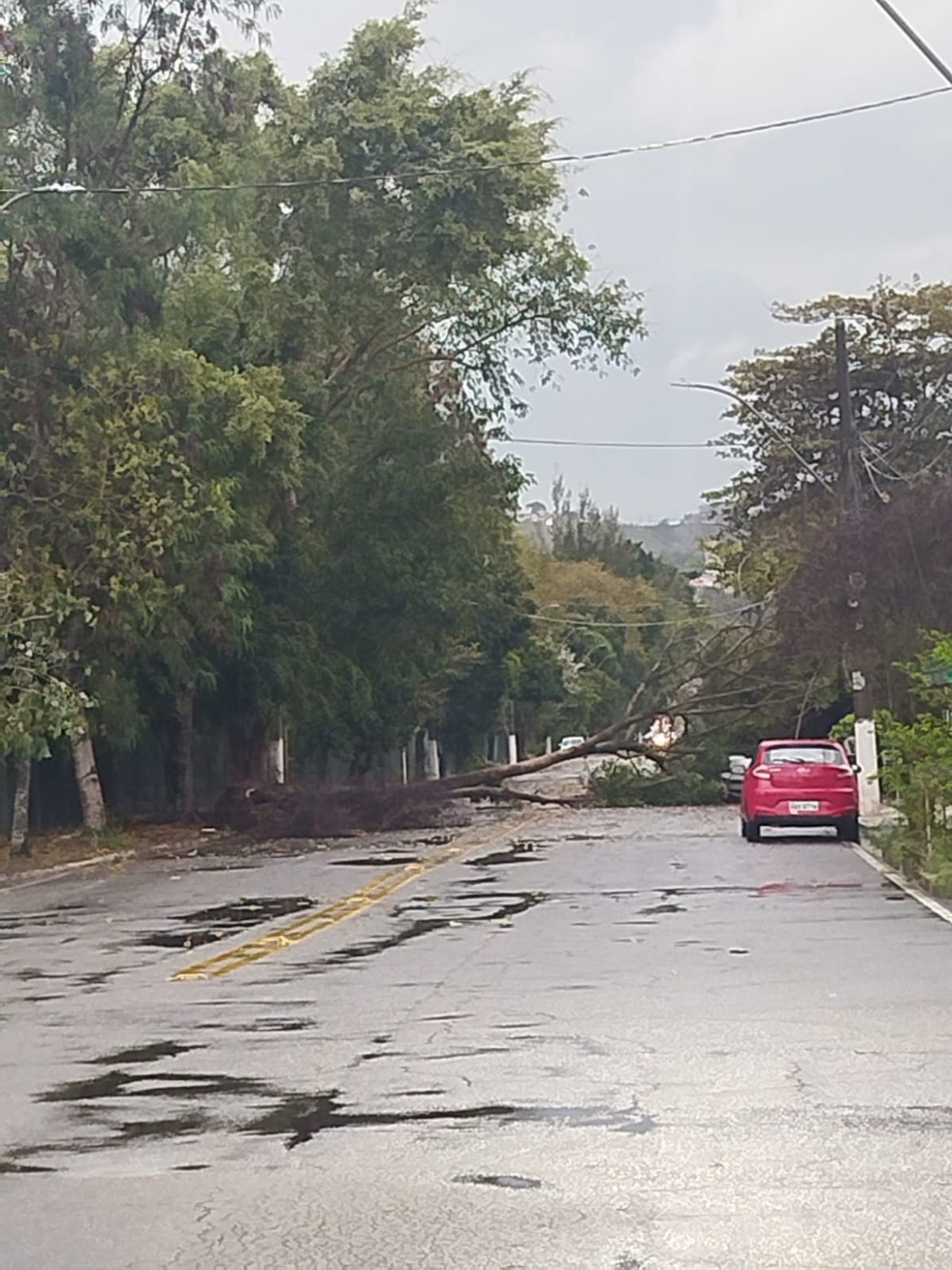 imagem do whatsapp de 2025 09 16 à(s) 17.25.31 62c6accd