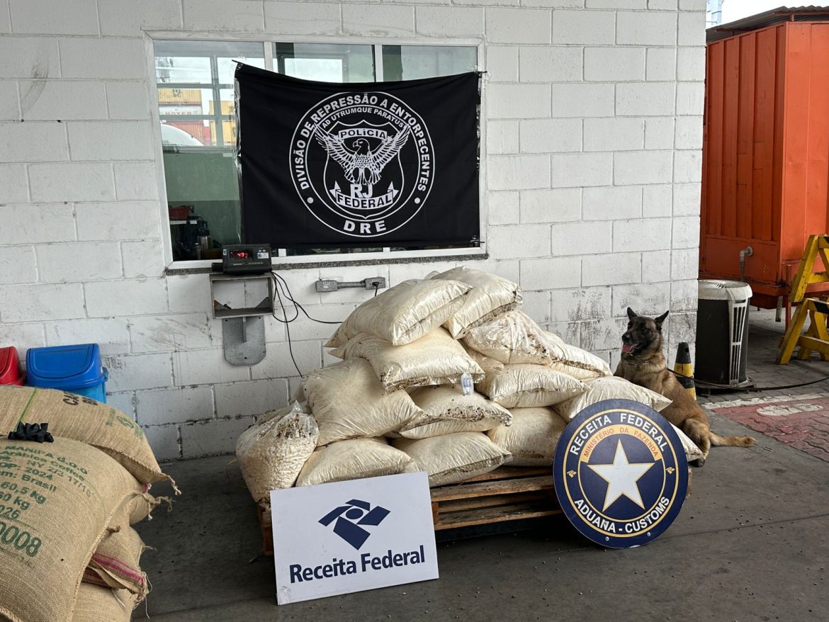 imagem do whatsapp de 2025 09 25 à(s) 16.52.14 eda63574