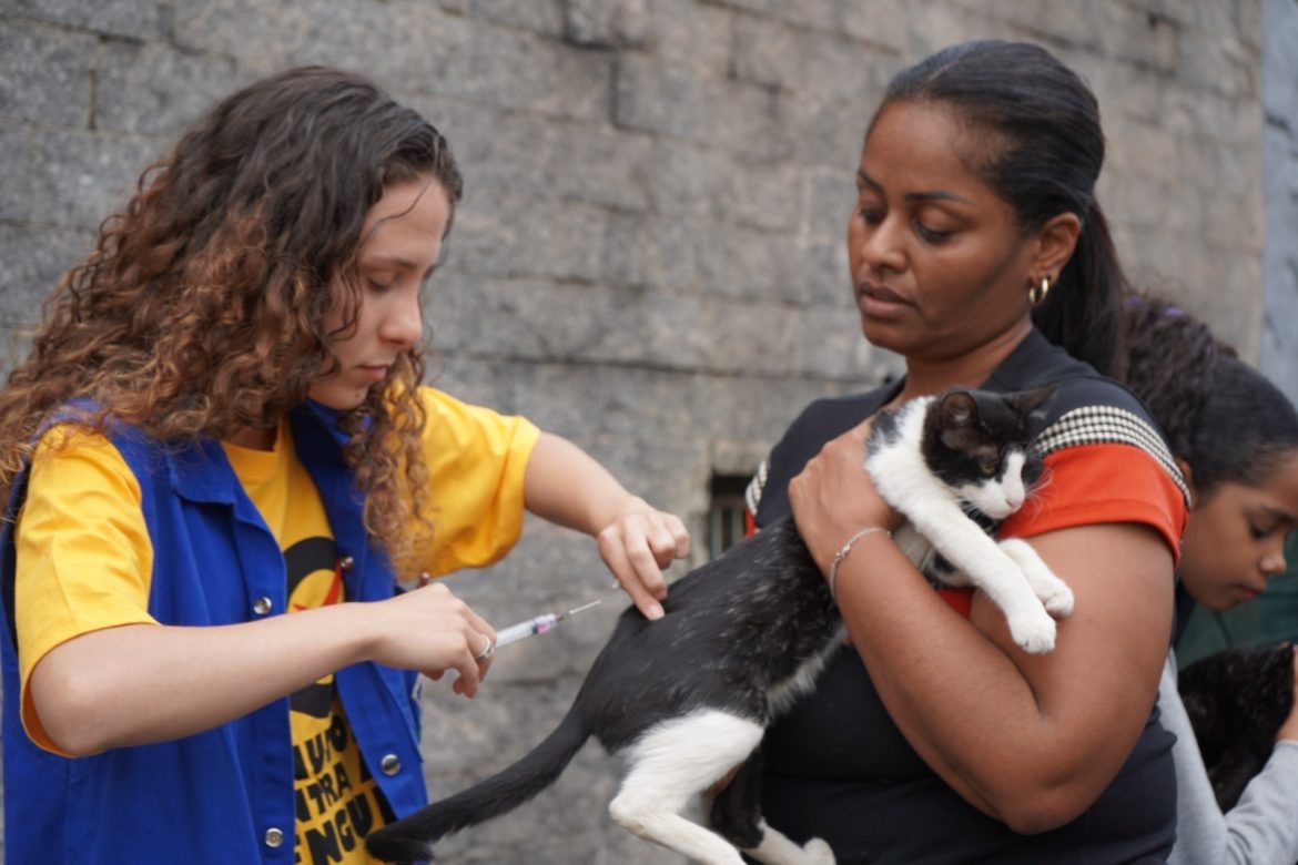 mais de seis mil animais imunizados na primeira etapa da campanha de vacinação antirrábica em volta redonda geraldo gonÇalves