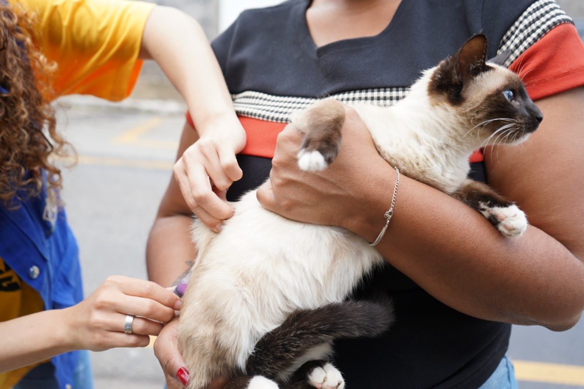mais de seis mil animais imunizados na primeira etapa da campanha de vacinação antirrábica em volta redonda geraldo gonÇalves11