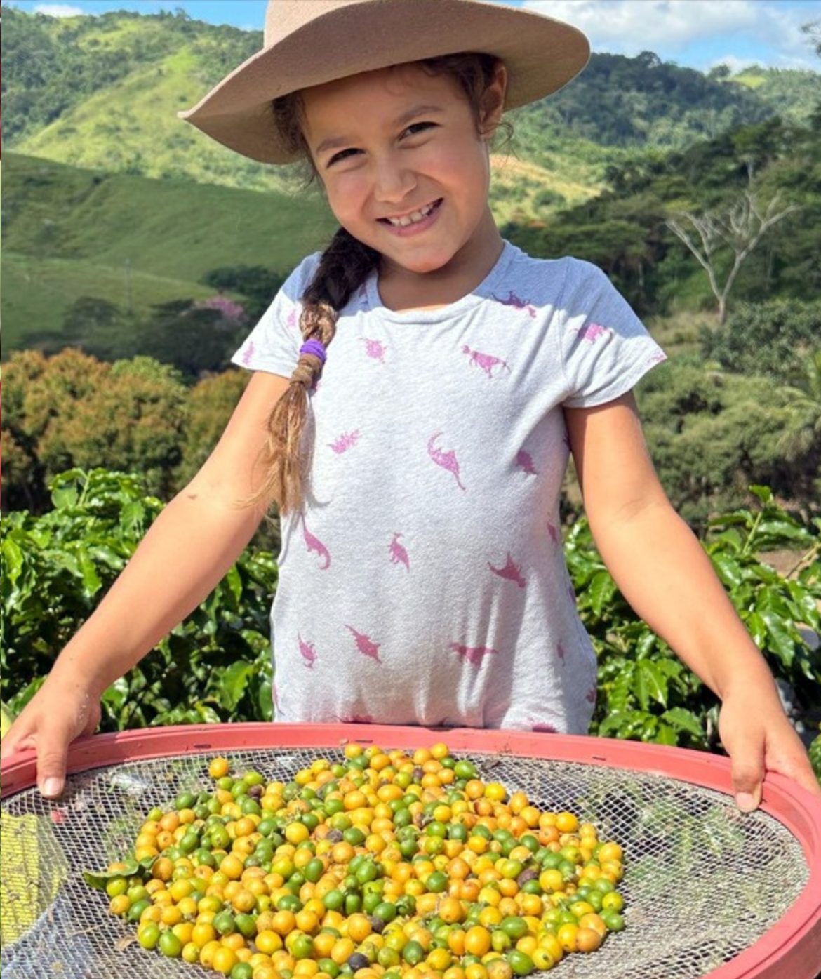 notasvr 1ª feira da roÇa orgÂnica em vr divulgação pmvr1 notasvr 1ª feira da roÇa orgÂnica em vr divulgação pmvr1