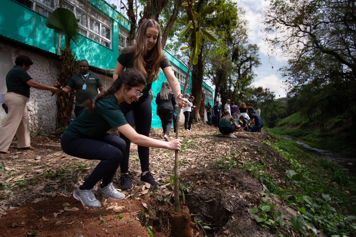 objetivo do projeto preservação permanente cris oliveira pmvr1