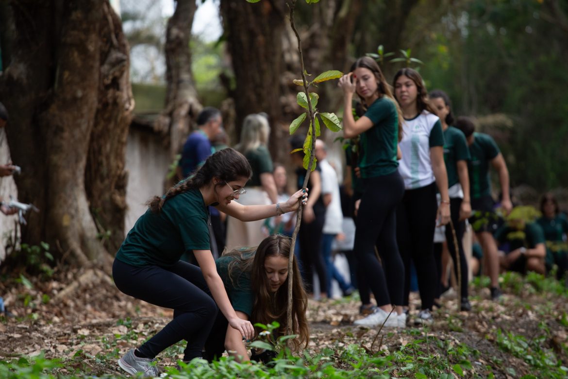 objetivo do projeto preservação permanente cris oliveira pmvr12