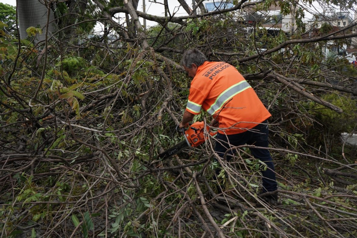 prefeitura de volta redonda atua na manutenção da cidade após forte chuva geraldo gonçalves pmvr1 prefeitura de volta redonda atua na manutenção da cidade após forte chuva geraldo gonçalves pmvr1