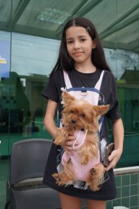 sábado tem vacinação antirrábica divulgação geraldo gonçalves pmvr