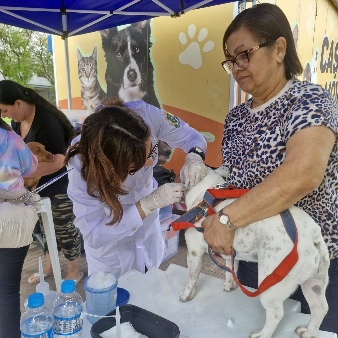 vetmóvel realiza 290 atendimentos a cães e gatos no bairro retiro, em volta redonda divulgação pmvr11 vetmóvel realiza 290 atendimentos a cães e gatos no bairro retiro, em volta redonda divulgação pmvr11