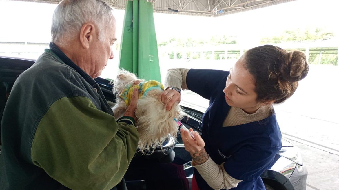 volta redonda ultrapassa meta de vacinação antirrábica divulgação pmvr 1