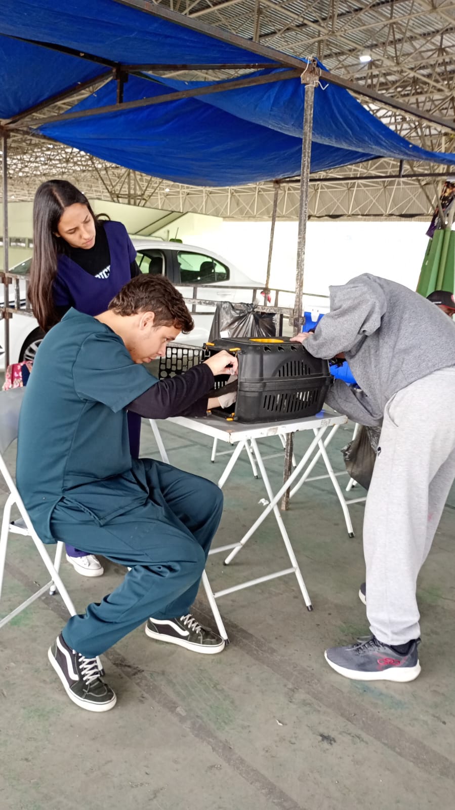 volta redonda ultrapassa meta de vacinação antirrábica divulgação pmvr volta redonda ultrapassa meta de vacinação antirrábica divulgação pmvr