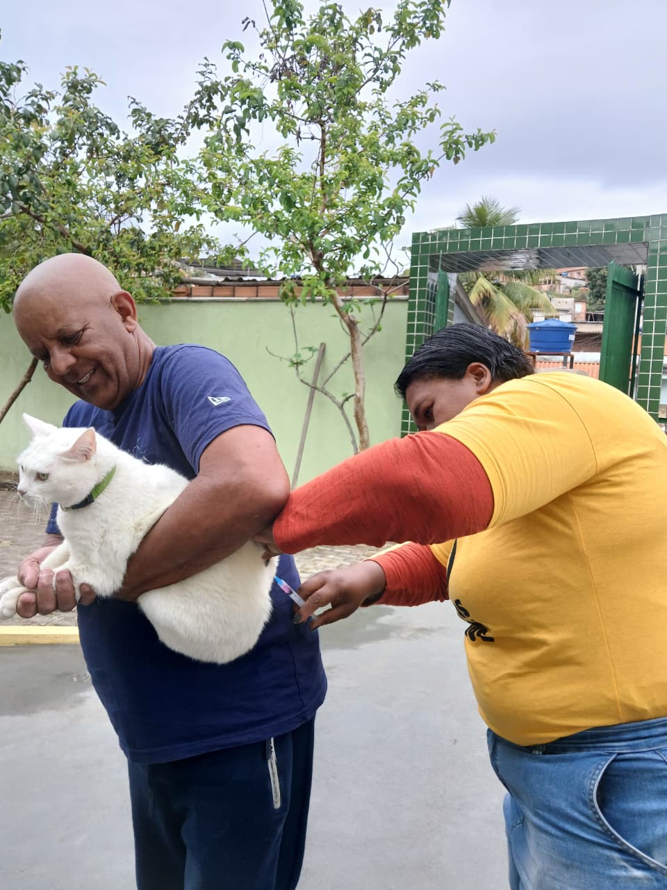 volta redonda ultrapassa meta de vacinação antirrábica divulgação pmvr1 volta redonda ultrapassa meta de vacinação antirrábica divulgação pmvr1