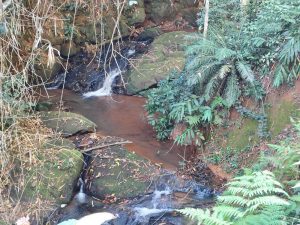 whatsapp image 2025 09 02 at 13.39.13